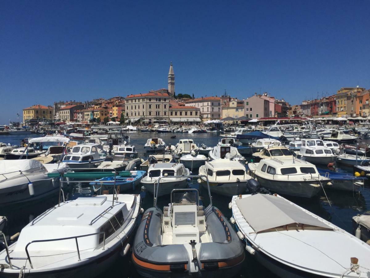 Apartment Villa Baric 4412 Rovinj Dış mekan fotoğraf